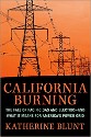 Blunt - California Burning, the fall of Pacific Gas and Electric-and what it means for America's power grid - image of power lines fading into the distance against an orange sky